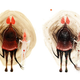 Illustration for article titled This Artist Is Making Haunting Paintings With Google's Dream Robot